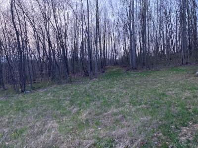 O Braxton Dr, Buchanan, Virginia 24066, USA