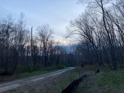 O Braxton Dr, Buchanan, Virginia 24066, USA