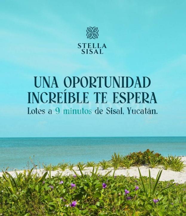 Tablaje Catastral No. 45561,, Hunucma, Yucatan 97350, Mexique