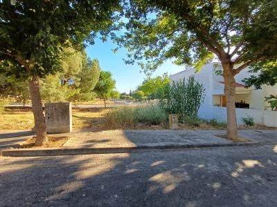 Entroncamento, סנטרם 2330-263, פורטוגל