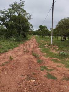 Hotel del Rancho , Loma Grande, Cordillera 00001, 巴拉圭