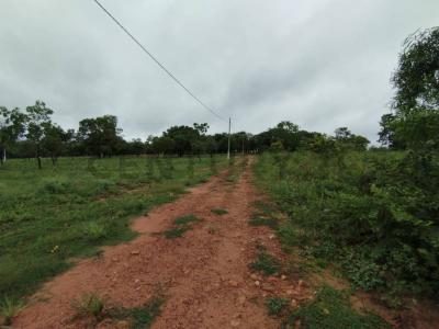 Hotel del Rancho , Loma Grande, Cordillera 00001, Paraguay
