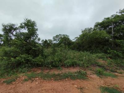 Hotel del Rancho , Loma Grande, Cordillera 00001, Paraguay