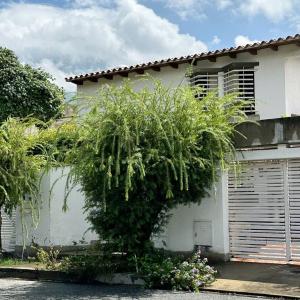 Calle 5 Nelucha, Caracas, Miranda 1071, Venezuela