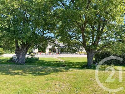 La Ferte St Cyr, Centro 41220, Francia