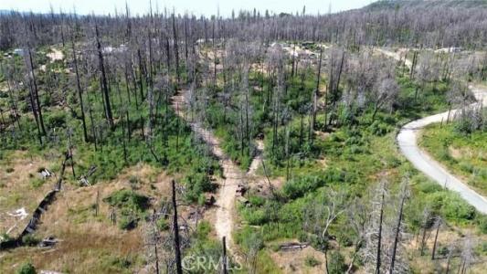 Bay Ranch Road, Berry Creek, California 95916, HOA KỲ