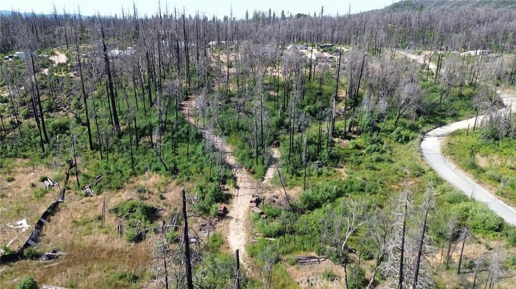 Bay Ranch Road, Berry Creek, California 95916
