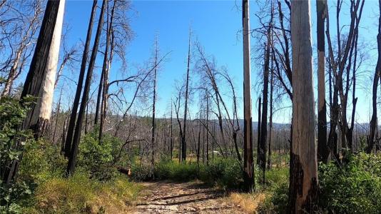 Bay Ranch Road, Berry Creek, California 95916