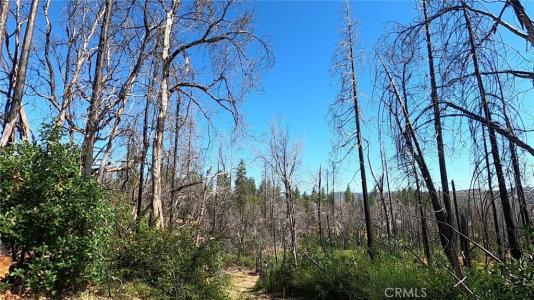 Bay Ranch Road, Berry Creek, California 95916