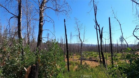 Bay Ranch Road, Berry Creek, California 95916