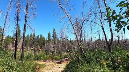Bay Ranch Road, Berry Creek, California 95916