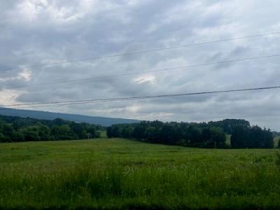 209 John Long Rd, Spring City, Tennessee 37381