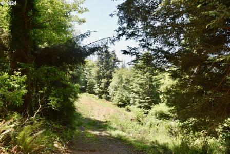 Hwy 101, Gold Beach, Oregon 97444