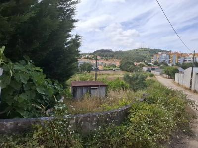 Mafra, Lisbon 2665-258, Portugal