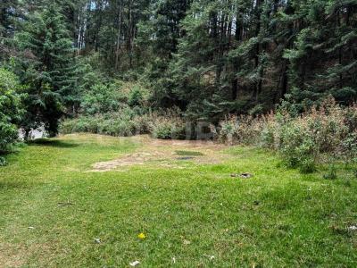 10902 San Jose de la Manzanas, Cerrito de Estafiate 724 R,, Jilotzingo, Estado De México 54570, Mexiko