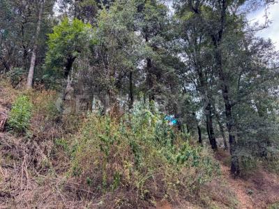 10902 San Jose de la Manzanas, Cerrito de Estafiate 724 R,, Jilotzingo, Meksika Eyaleti 54570, Meksika