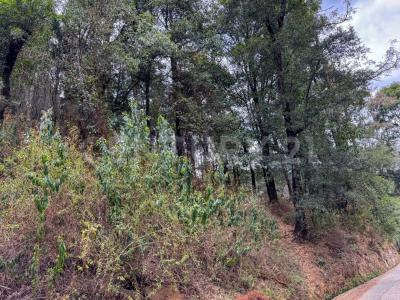 10902 San Jose de la Manzanas, Cerrito de Estafiate 724 R,, Jilotzingo, Meksika Eyaleti 54570, Meksika