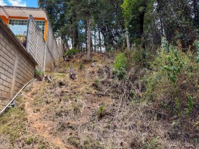 10902 San Jose de la Manzanas, Cerrito de Estafiate 724 R,, Jilotzingo, Meksika Eyaleti 54570, Meksika