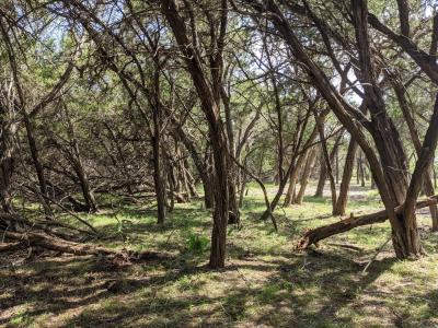 Lot 52 Clearwater Canyon RD, Bandera, Texas 78003