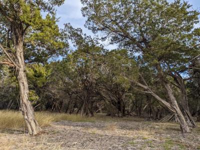 Lot 52 Clearwater Canyon RD, Bandera, Texas 78003