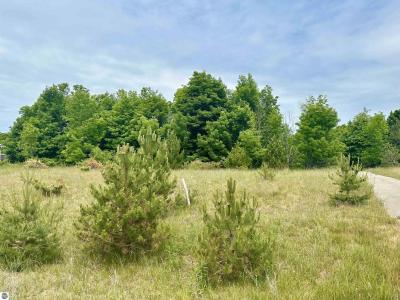 19 High Meadow Trail, Frankfort, 미시건 49635, 미국