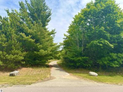 19 High Meadow Trail, Frankfort, 미시건 49635, 미국