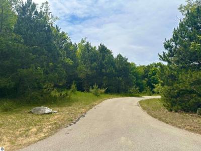 19 High Meadow Trail, Frankfort, 미시건 49635, 미국