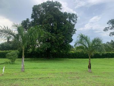 Sardinal Carrillo, Guanacaste 50503, Costa Rica