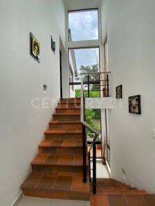 Anapoima, Cundinamarca 111176, Kolombiya