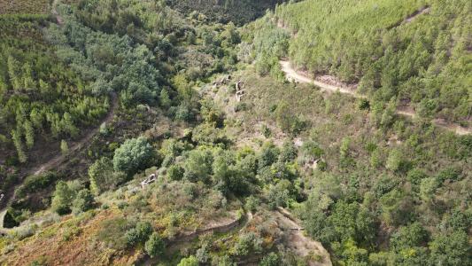 Seia, Guarda 6270-351, Portugal