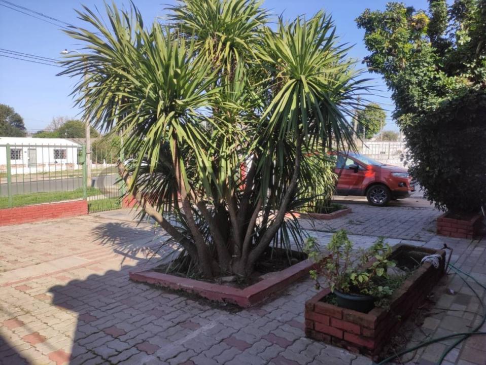 Piedras Blancas, Montevideo 00001, Uruguay