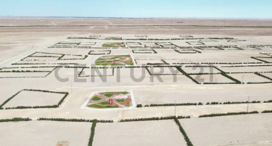 Hacienda la Joya A , Arequipa, Arequipa 00001, 페루