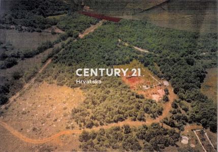 Kanfanar, Mrgani, Kanfanar, Istarska Županija 52352, Croatia