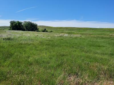 TBD Dry Ranch Road, Sheridan, Wyoming 82801, USA