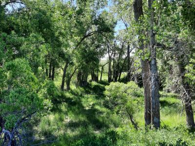 TBD Dry Ranch Road, Sheridan, Wyoming 82801