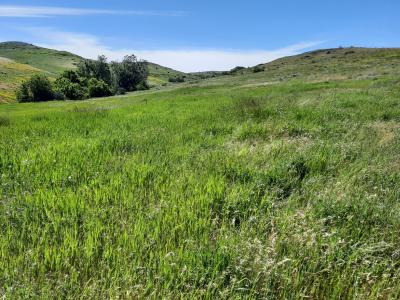 TBD Dry Ranch Road, Sheridan, Wyoming 82801