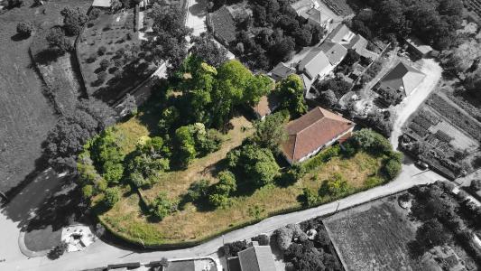 Tondela, Viseu 3460-508, Portogallo