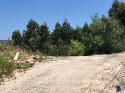 Vila Nova De Poiares, Coimbra 3350-087, Portugal