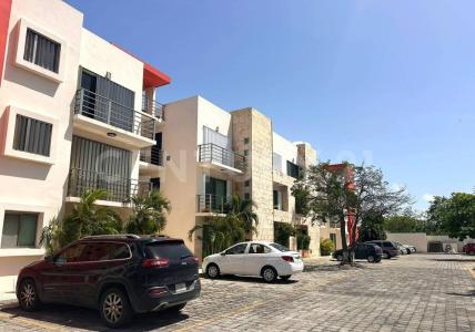 11 Sur c206,, Solidaridad / Riviera Maya, Quintana Roo 77710, Mexico