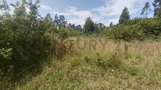 Conocoto conjunto La Salle etapa 2 s/n, Quito, Pichincha 00001, Ecuador