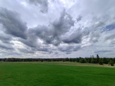 12279 Stangle Road, Butternut, Wisconsin 54514, USA