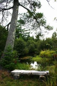12279 Stangle Road, Butternut, Висконсин 54514, Соединенные Штаты