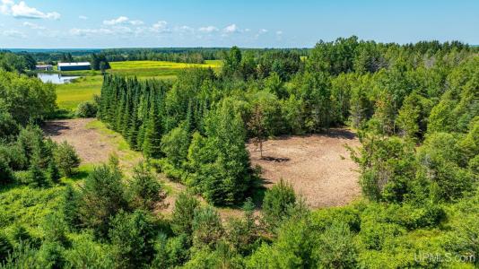 TBD1 Paradise, Chassell, Michigan 49916, États-Unis