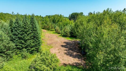 TBD1 Paradise, Chassell, Michigan 49916, États-Unis