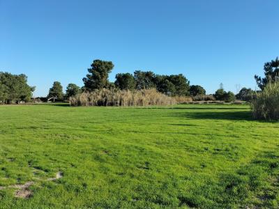 Moita, Setubal 2860-150, Portugal