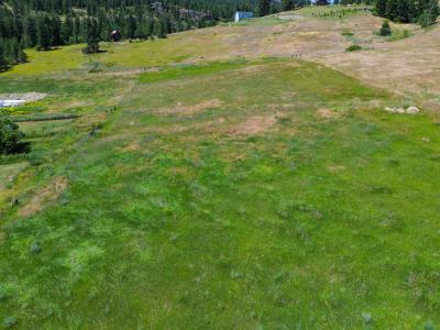 842-Lot 2E Valley Westside Rd, Colville, Washington 99114, Estados Unidos