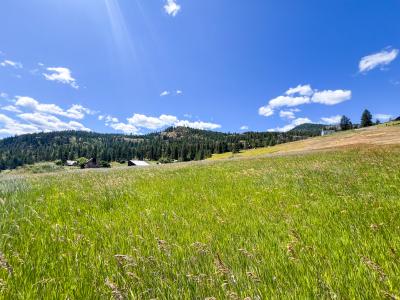 842-Lot 2E Valley Westside Rd, Colville, Washington 99114, Estados Unidos