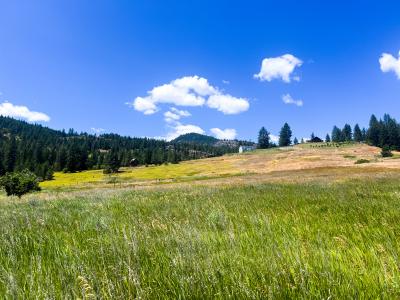842-Lot 2E Valley Westside Rd, Colville, Washington 99114, Estados Unidos