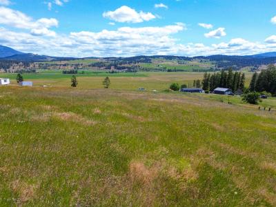 842-Lot 2E Valley Westside Rd, Colville, Washington 99114, Estados Unidos