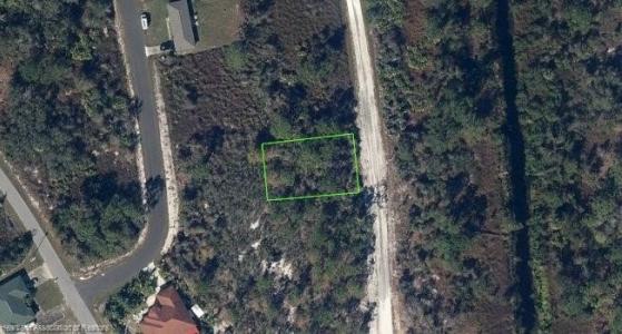 115 W Canal Way NE, Lake Placid, Floride 33852, États-Unis